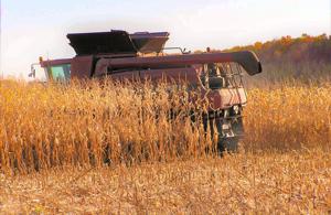 Compare U.S., Brazil corn costs