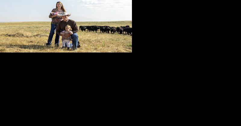 Building a brand in the direct marketing beef business - Vimarsana News