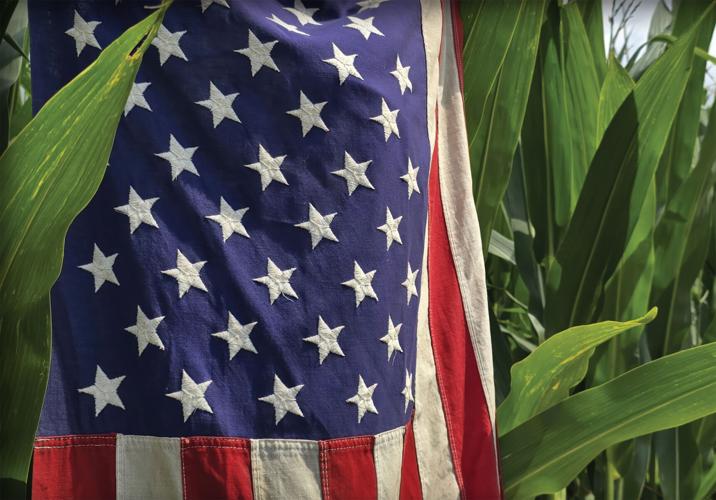 Flag and corn