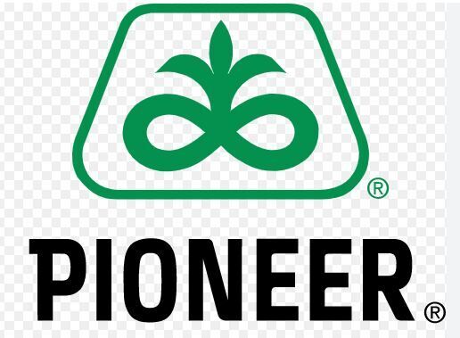 Pioneer logo