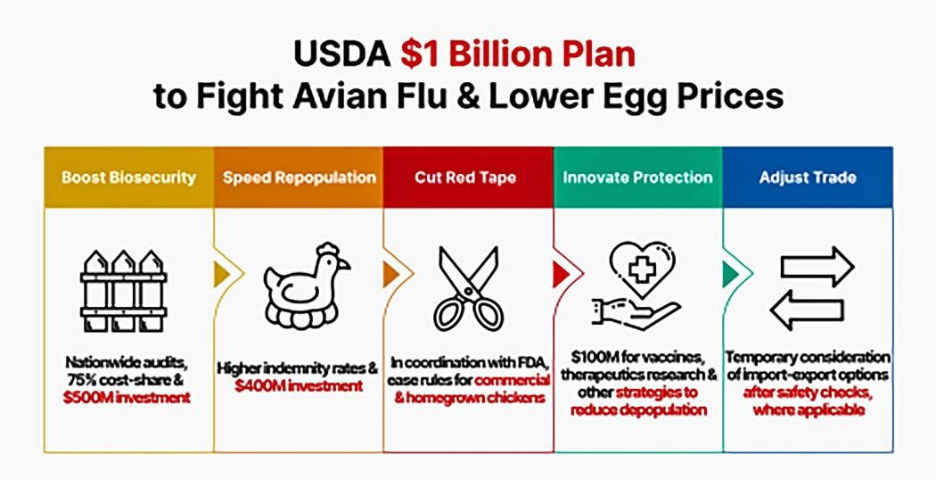 Plan to fight avian flu