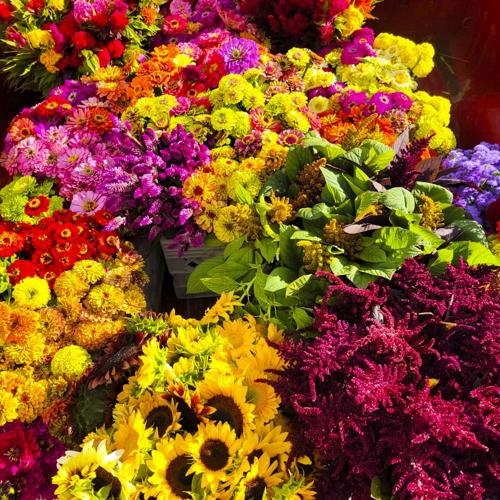 Colorful flowers in buckets