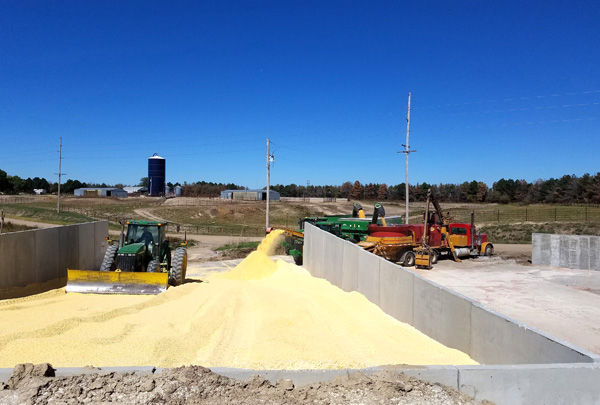 Wet corn pit reduces processing, with no shrink, trucking, storage