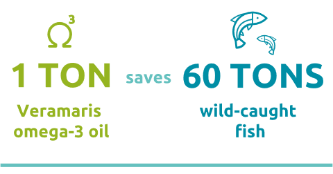 Veramaris algae nutrition infographic