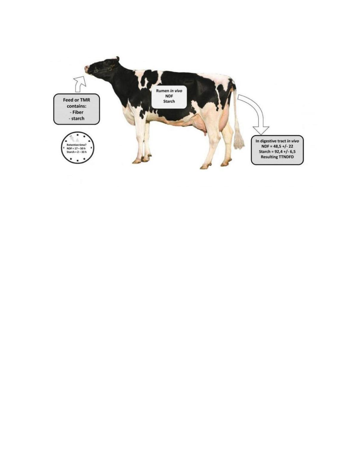 Cow diagram