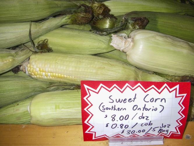 Corn