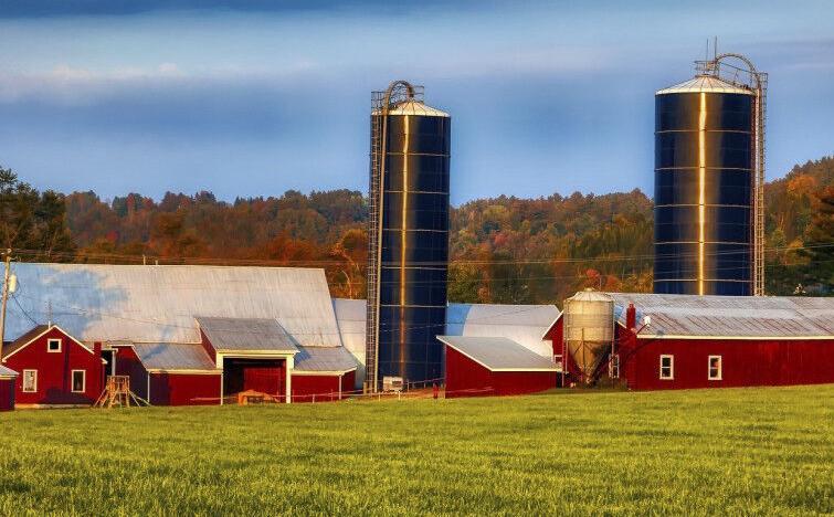Dairy farm with barn and silos in summer