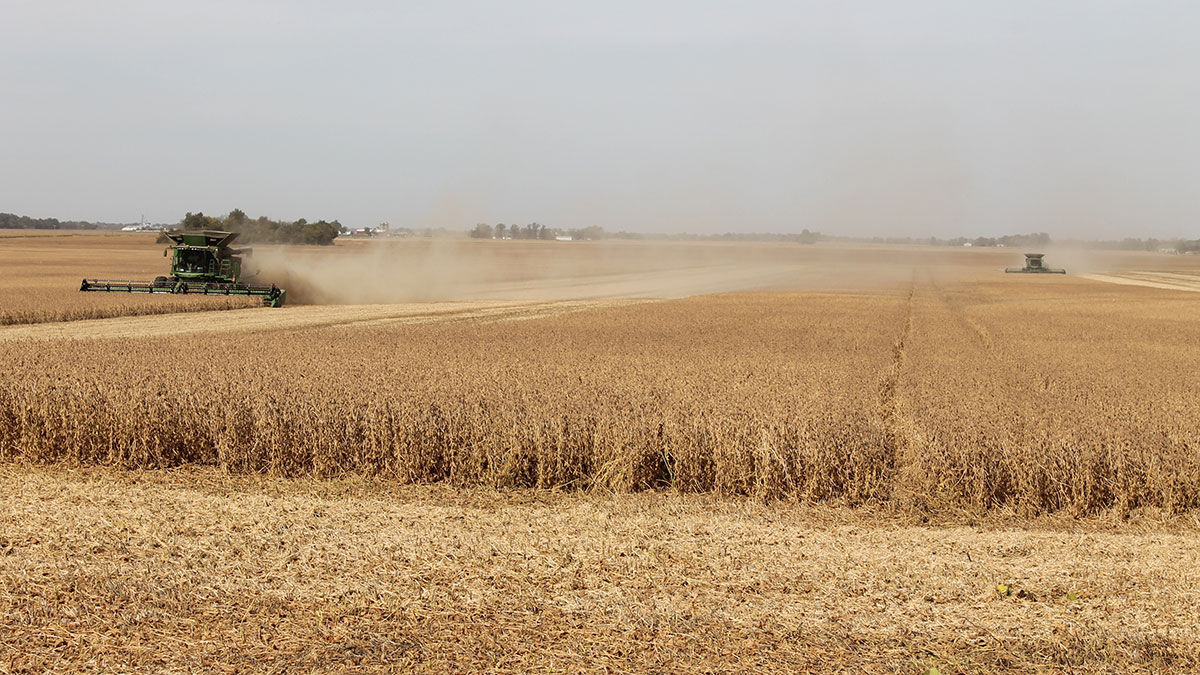 Chad and Randy Hilmes double-team a soybean field in Bond County.