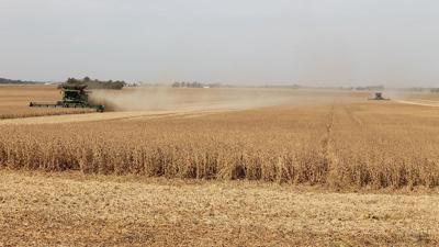 Chad and Randy Hilmes double-team a soybean field in Bond County.