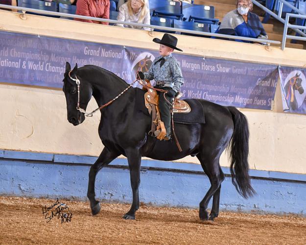 7 --Jett & GRM Strike It Rich Walk Trot.jpg