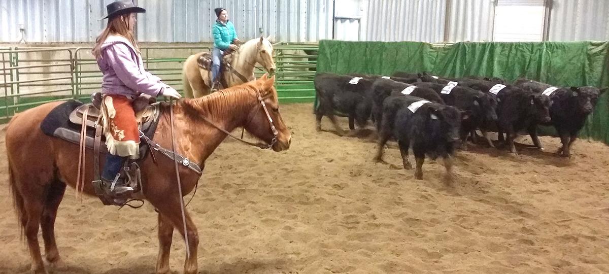 Enjoy The 2019 Montana Winter Fair Jan 18 27 State Regional