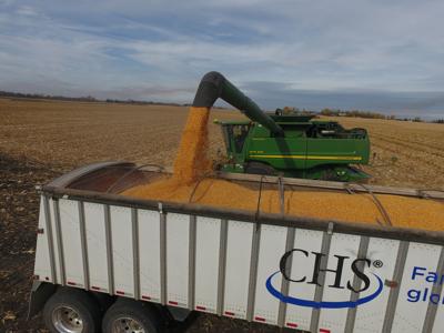 lrsc harvest