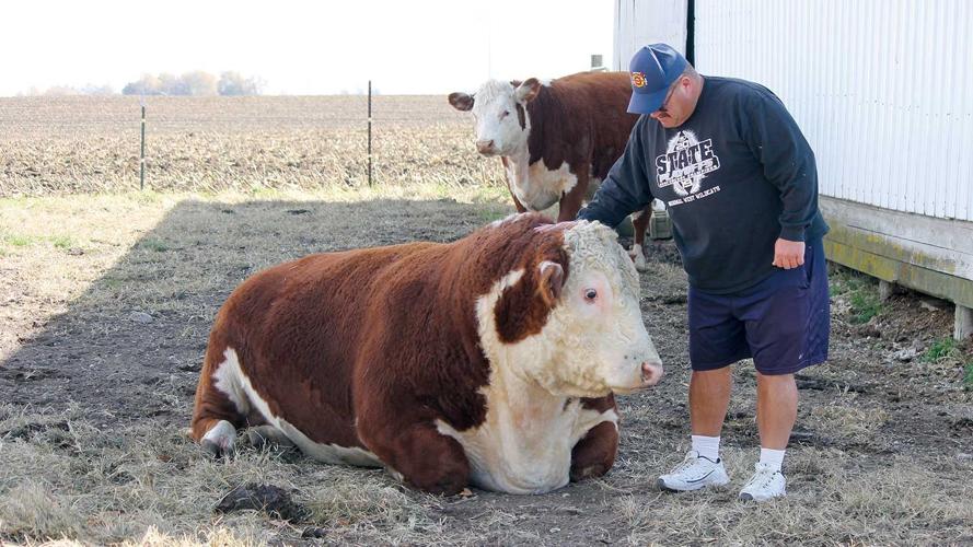 Greg-Mohr-and-bull