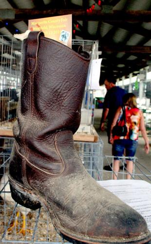 Marquette County Fair