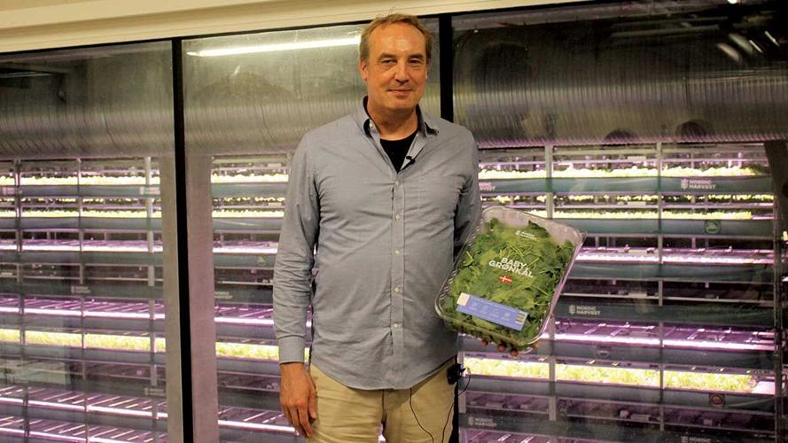 Anders Riemann stands in front of produce growing in Nordic Harvest