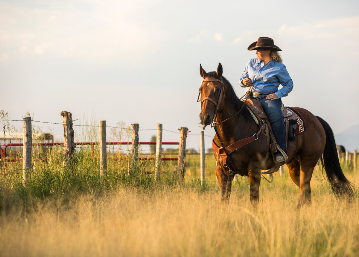 Horseback