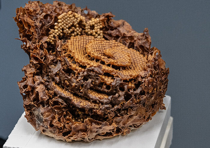 Honeycomb