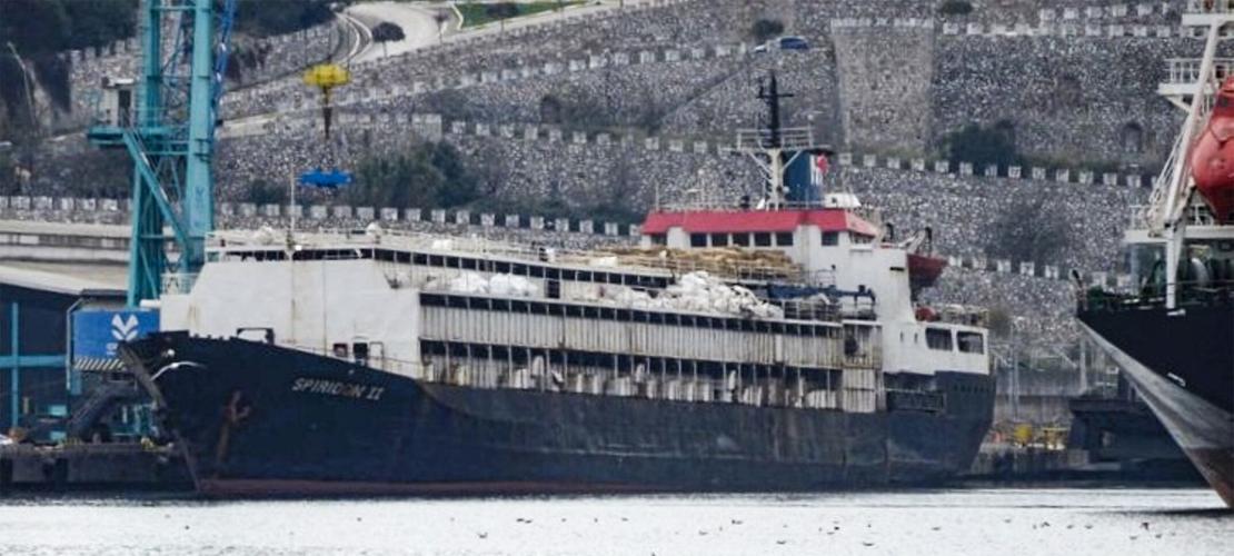 Spiridon II livestock ship