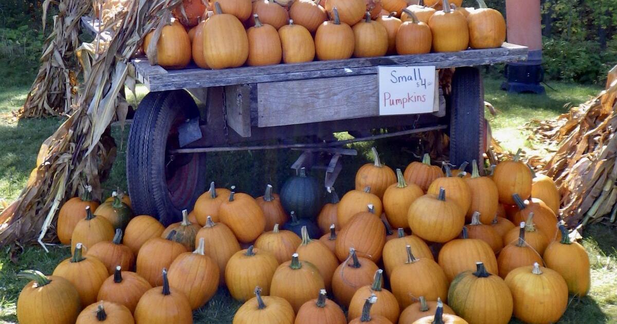 Land-grant schools spark ag future