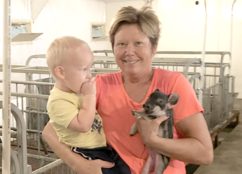 Mangalista hogs (7).jpg