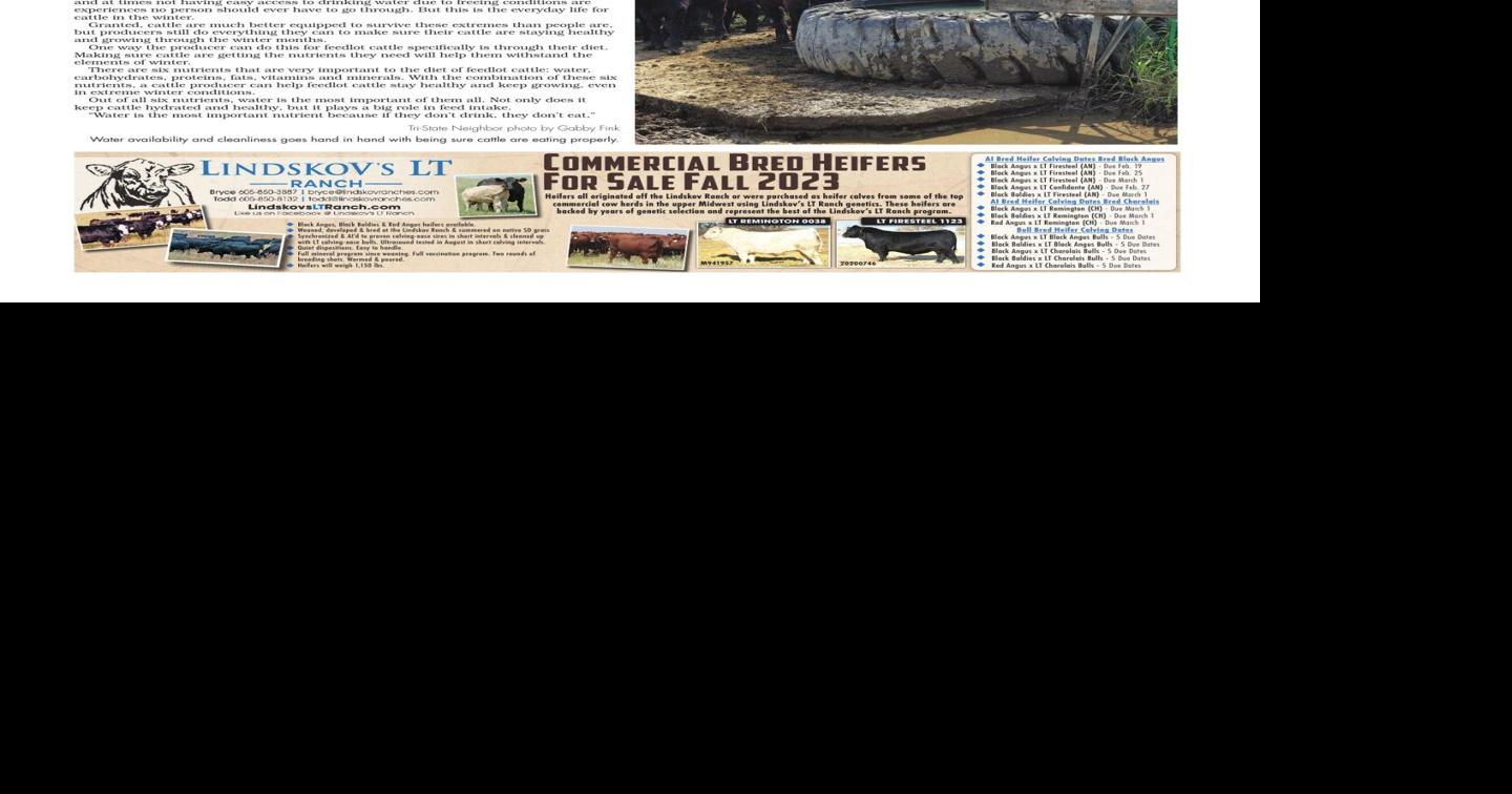 Livestock Roundup 1524