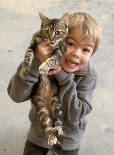 Barn cat program 1.JPEG