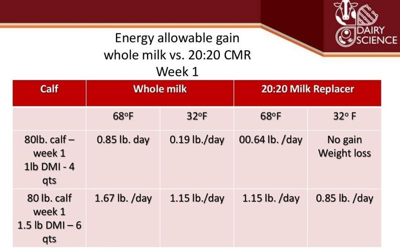 Comparison in gains between whole milk and replacer