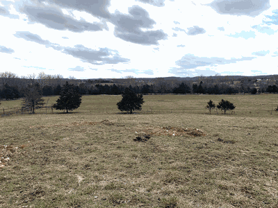 post drought pasture