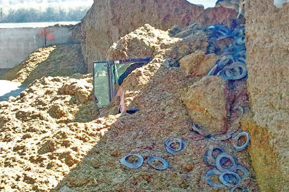 Silage collapse