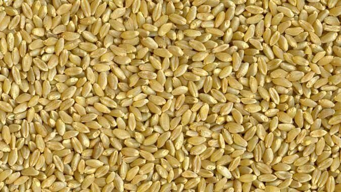 Durum