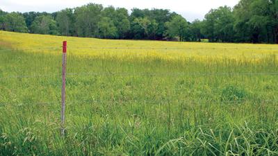 permanent perimeter fence