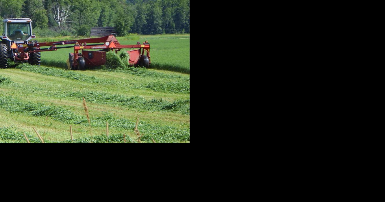 From the Fields: Jason Maloney