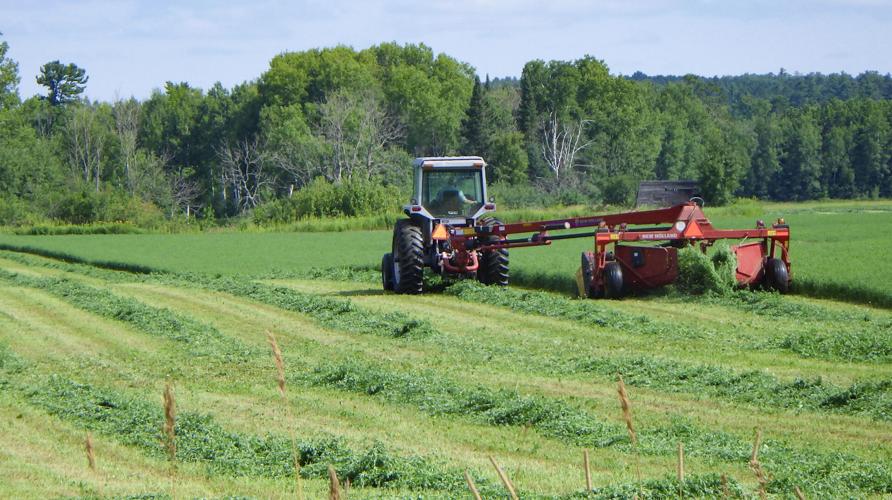 Tractor in field