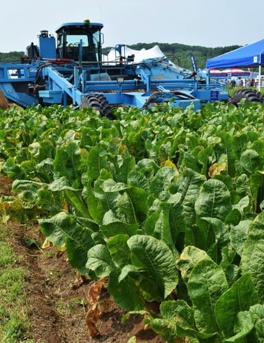 Gallenberg harvester