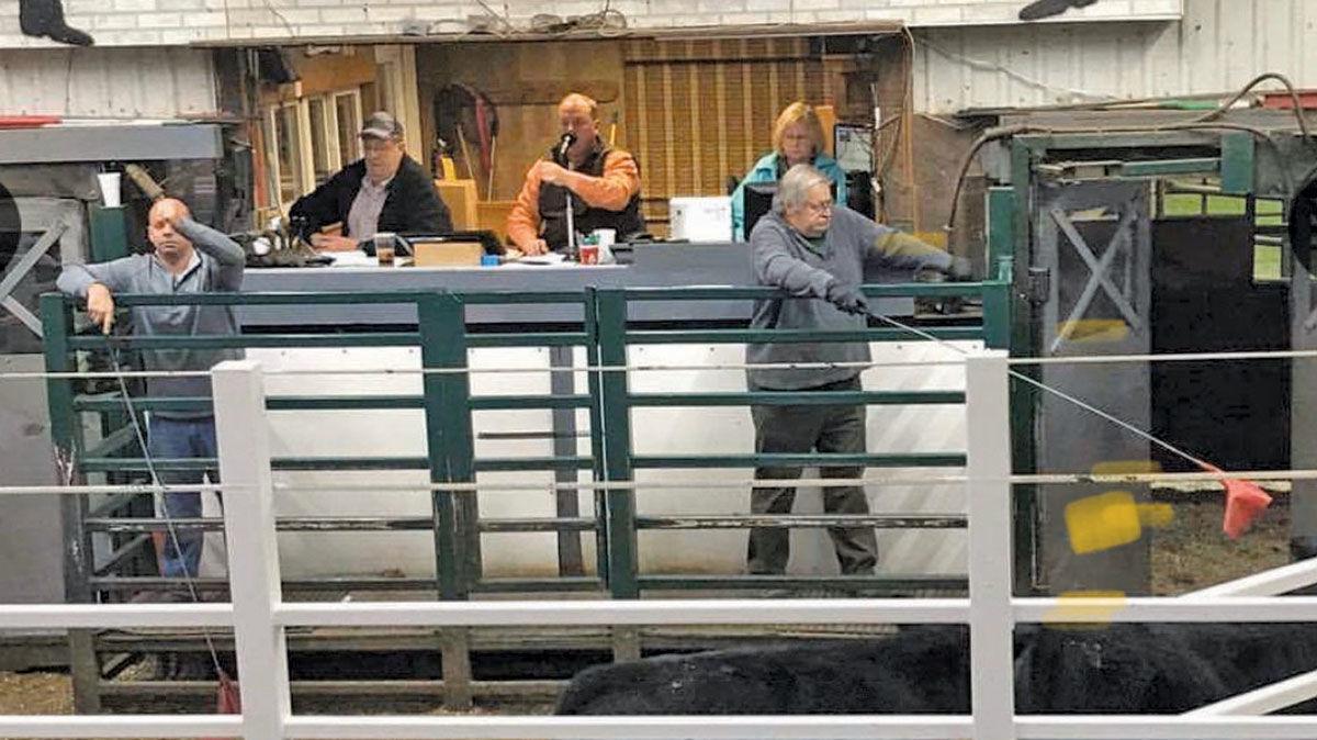 Auction markets cope with crowd limits