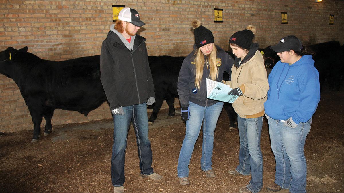 Illinois Beef Expo