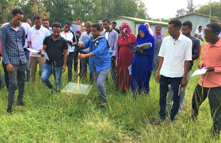 Ethiopian development agents use pasture plate