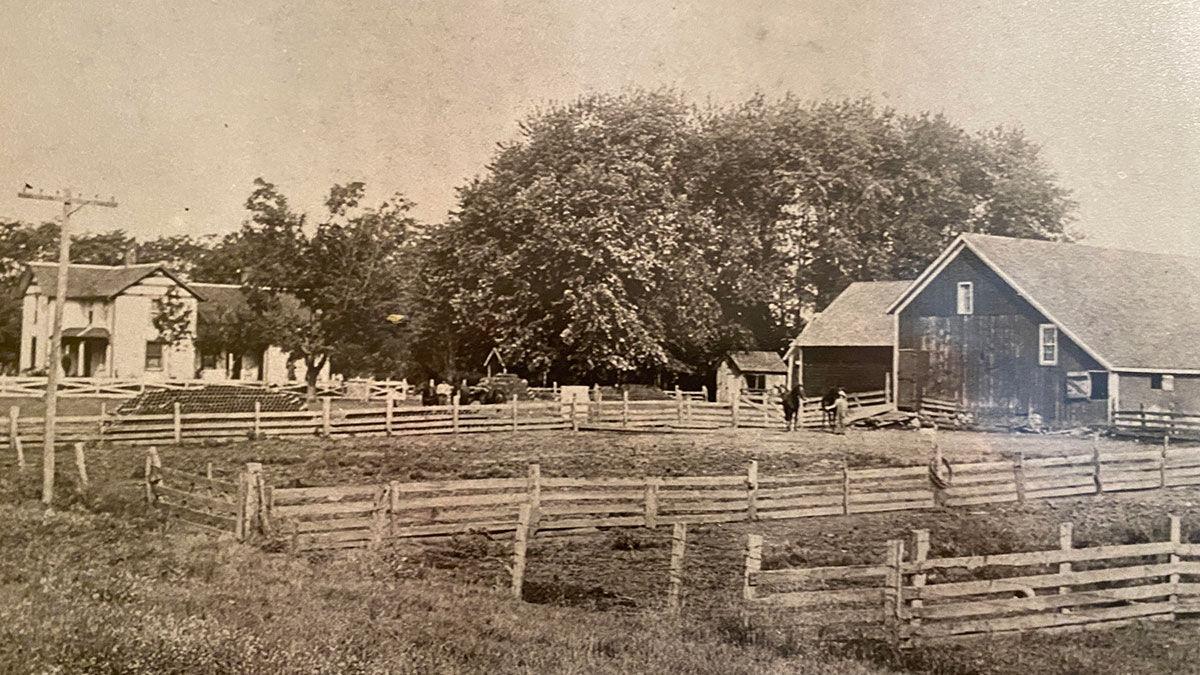 Cuddeback farm in 1905
