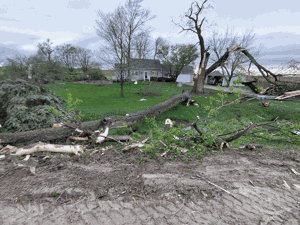 house-yard-damage.gif