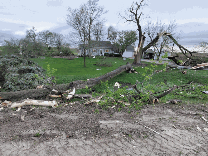 house-yard-damage.gif