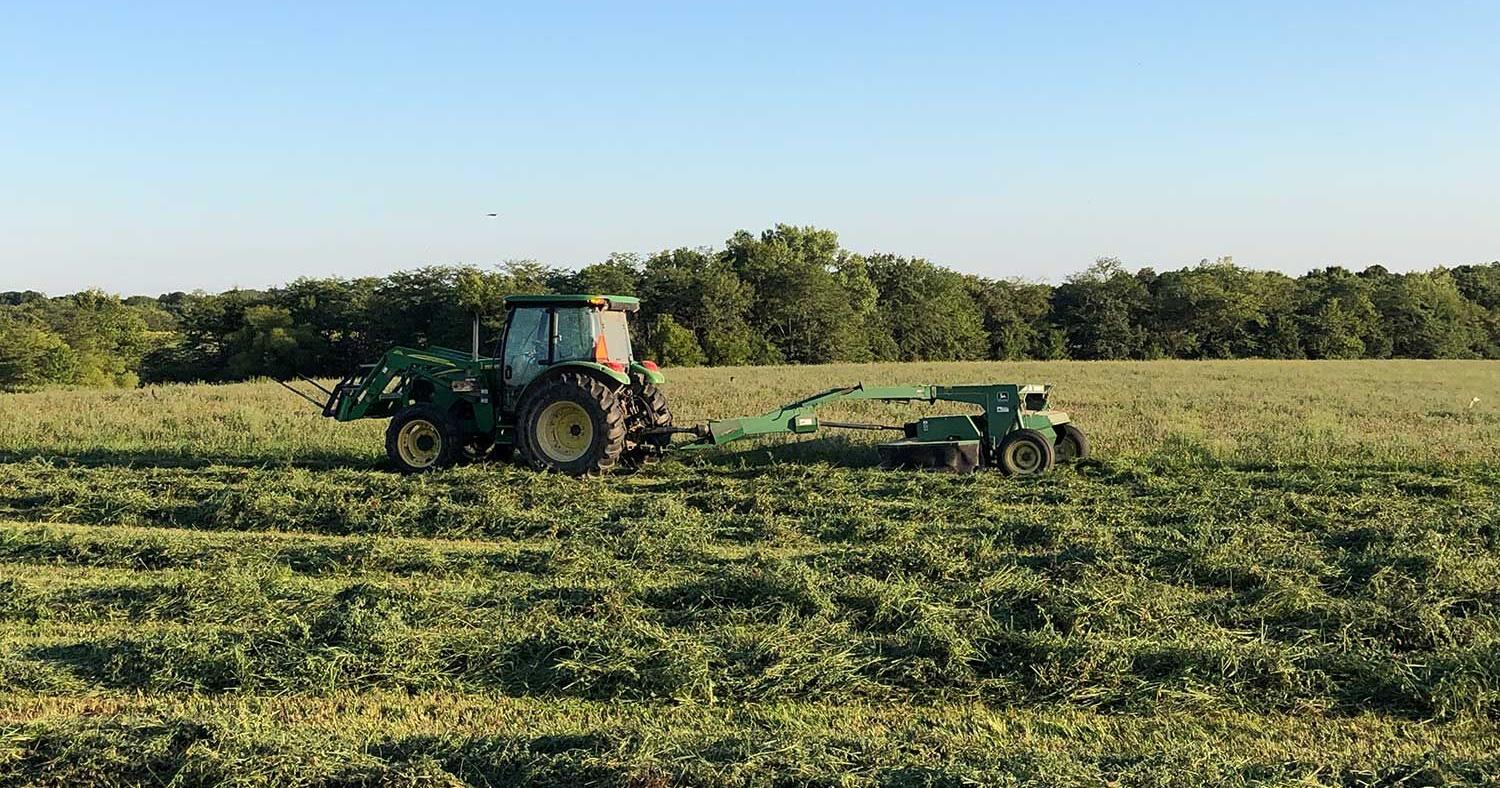 Midwest producers face short hay supply - Vimarsana News