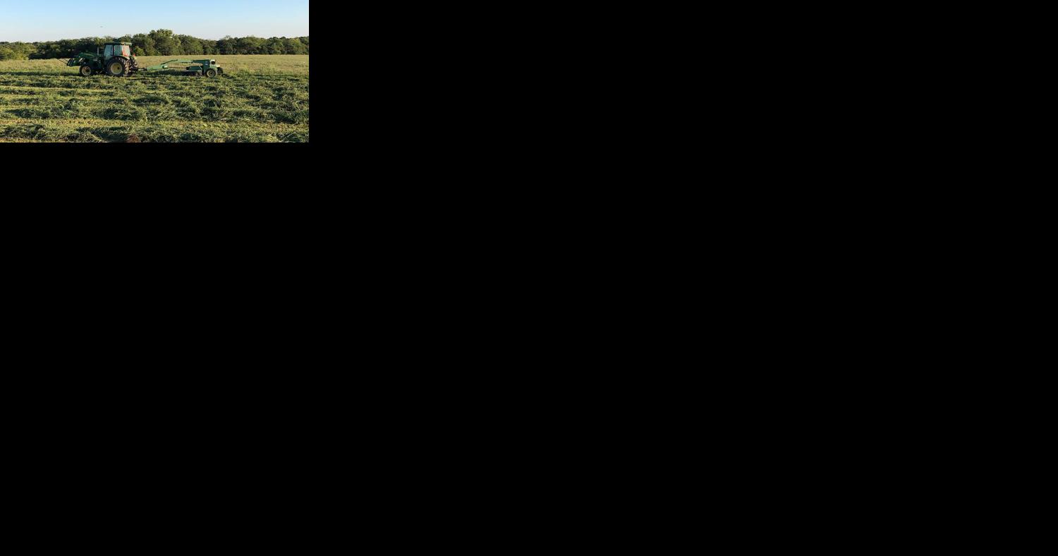 Midwest producers face short hay supply - Vimarsana News