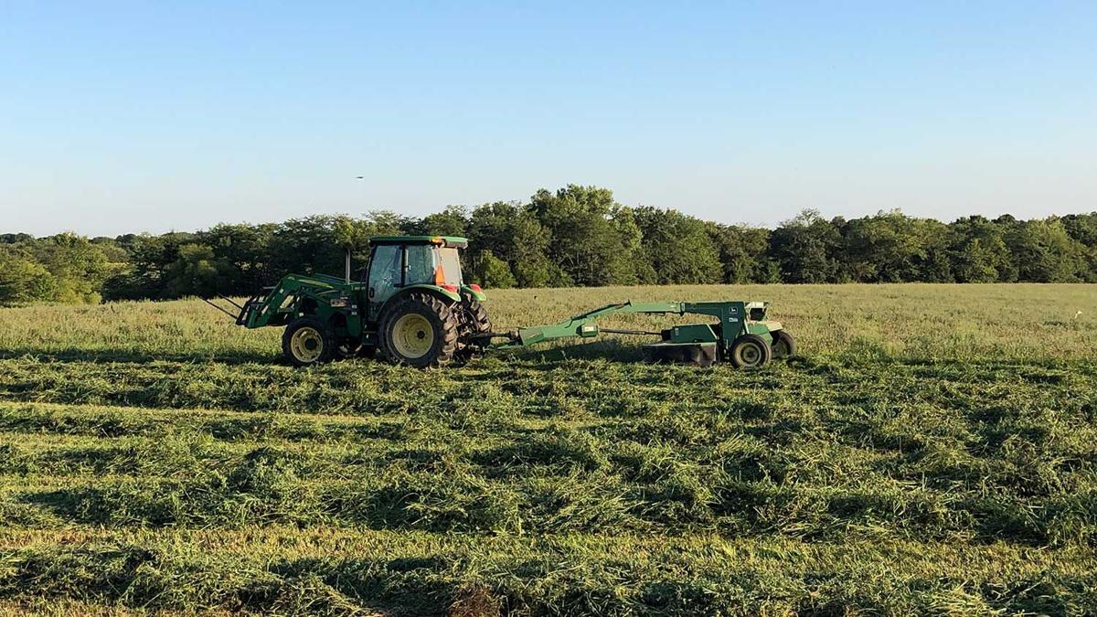 mowing-alfalfa