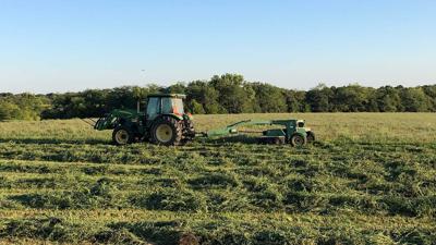 mowing-alfalfa