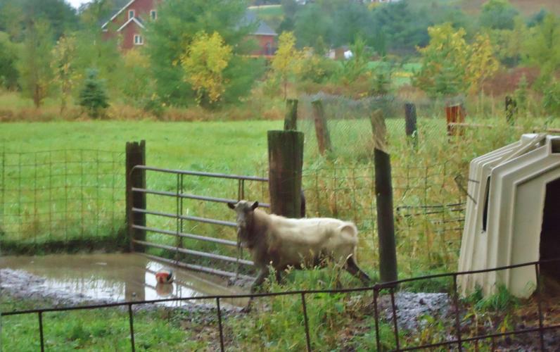 Hillbilly in mud