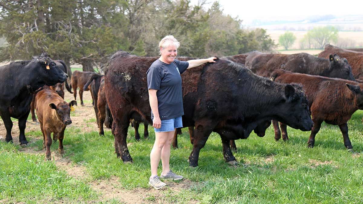 Deb Miller has been fitting cattle