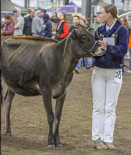 Josie Baily dairy handling