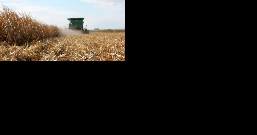 Harvest is time for reflection, planning - Vimarsana News