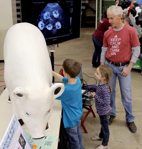 Pat Bane Family Science Day