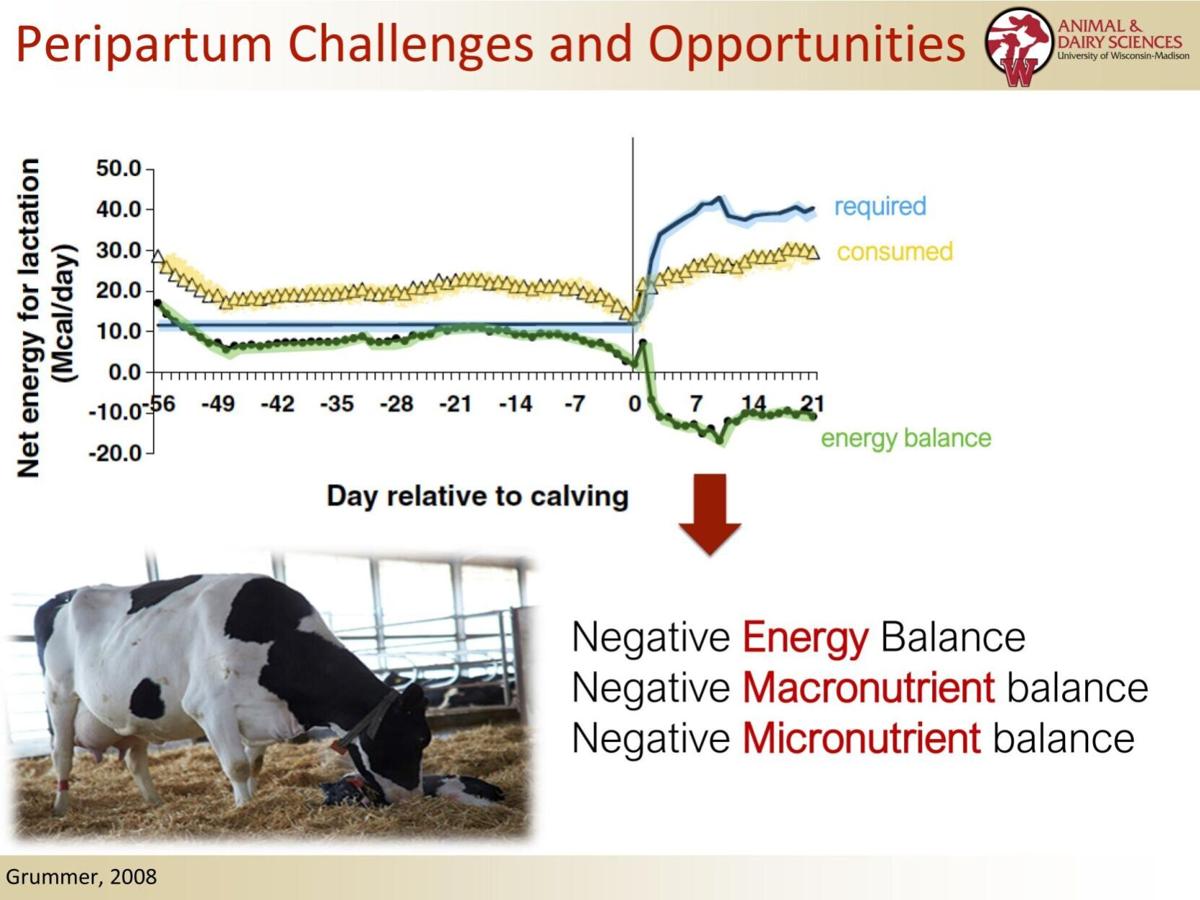 Peripartum Challenges